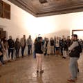 Guided tour of the Alhambra.