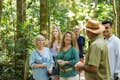 Learn all about the flora and fauna of the Daintree Rainforest with your Billy Tea Safaris Guide