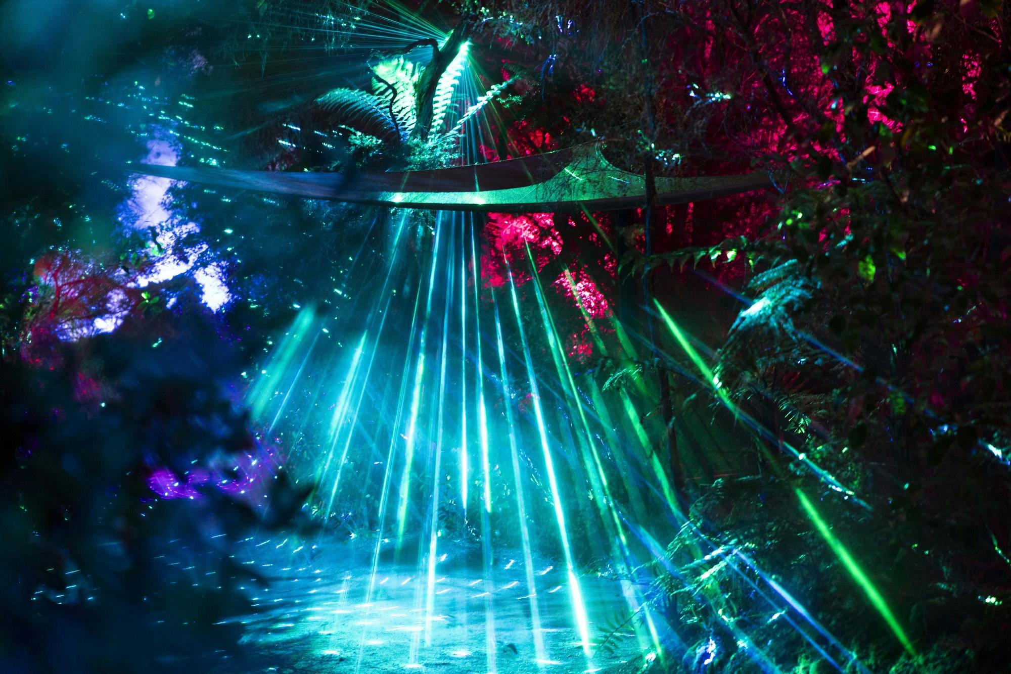Te Puia: Te Po Indigenous Evening Experience Combo + Guided Tour