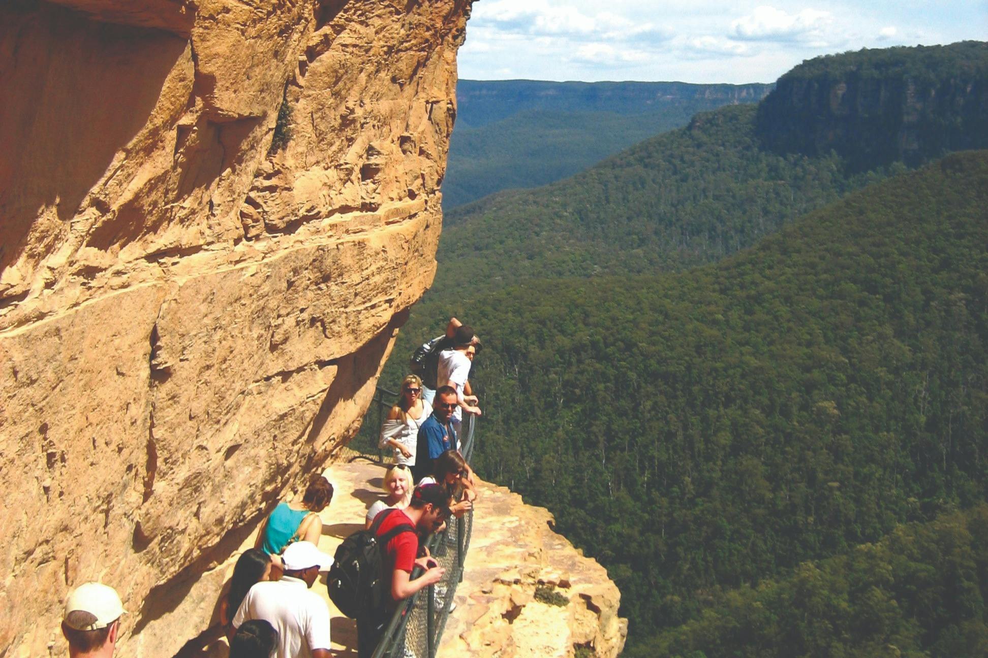 Προαιρετικό περπάτημα σε θάμνο