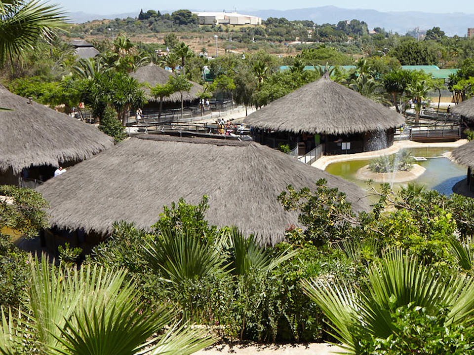 Thatched-roof huts surrounded by lush vegetation and palm trees, with a backdrop of distant hills and a clear sky.