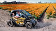 Tour privado pelas tulipas em Amsterdã