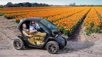 Visite privée des tulipes à Amsterdam