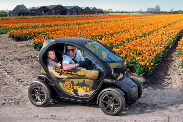 Lisse Tulip Fields: Self-Drive Tour + Audio Guide