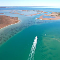 Mandurah: Giant & Dolphin Guided Sightseeing Cruise 2