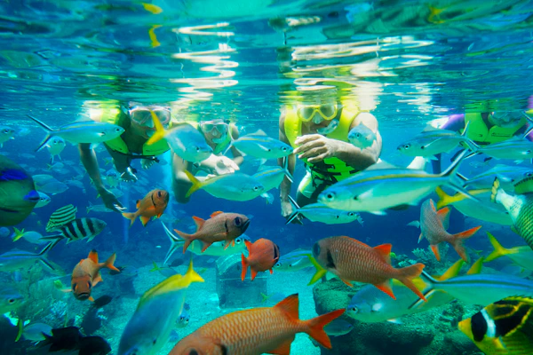 Singapore Adventure Cove waterpark tickets