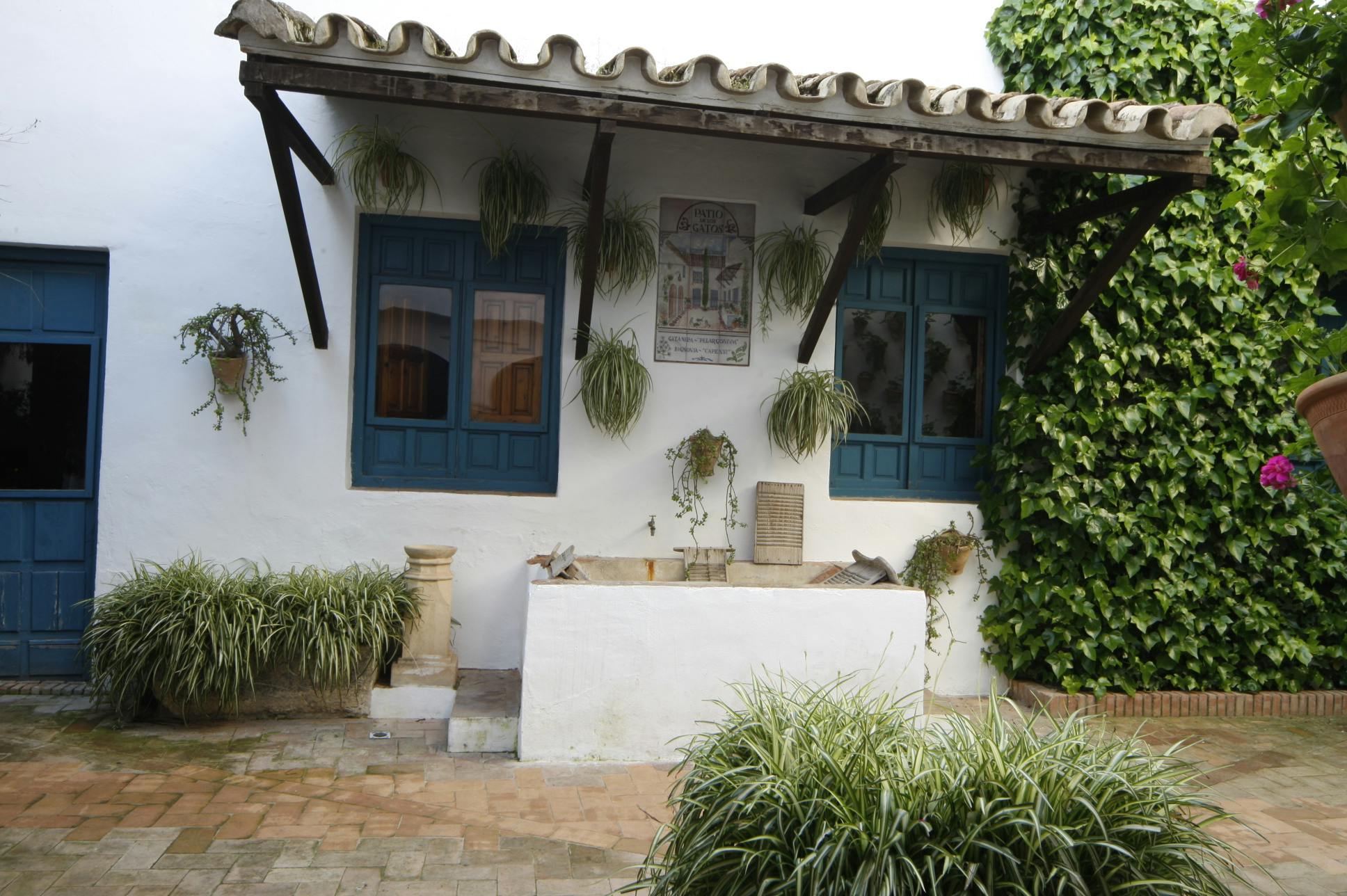 白色建筑的外观，配有蓝色窗户、悬挂的植物、瓷砖壁画和庭院中郁郁葱葱的绿色植物。