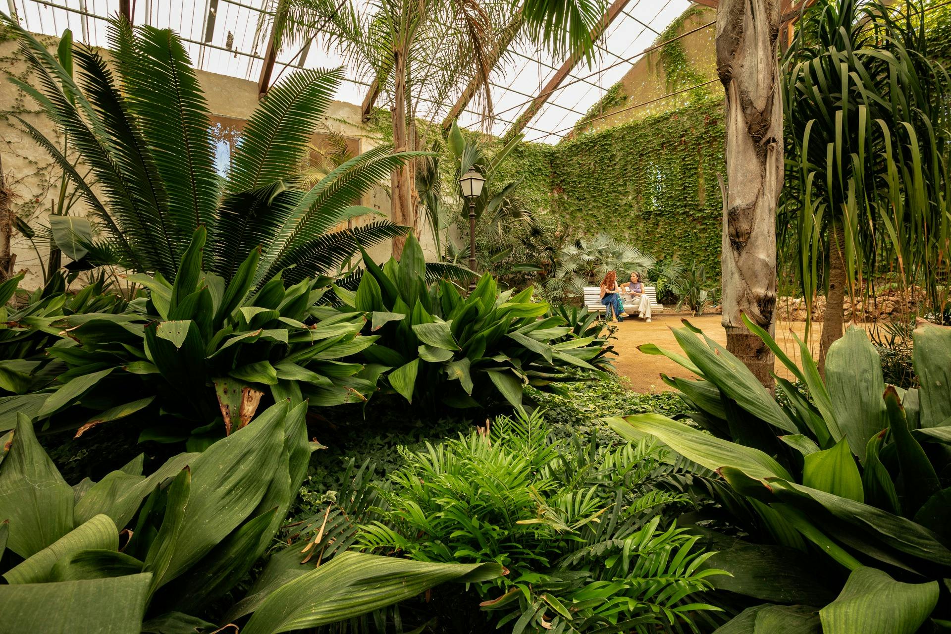 グリーンハウス。サマパーク。カンブリルズ