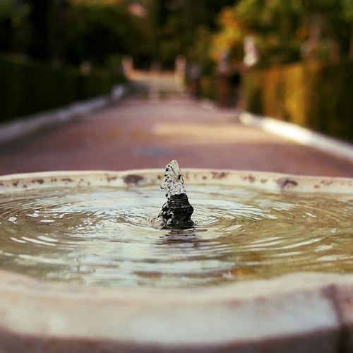 Royal Alcázar of Seville: Entry Ticket - Photo 7