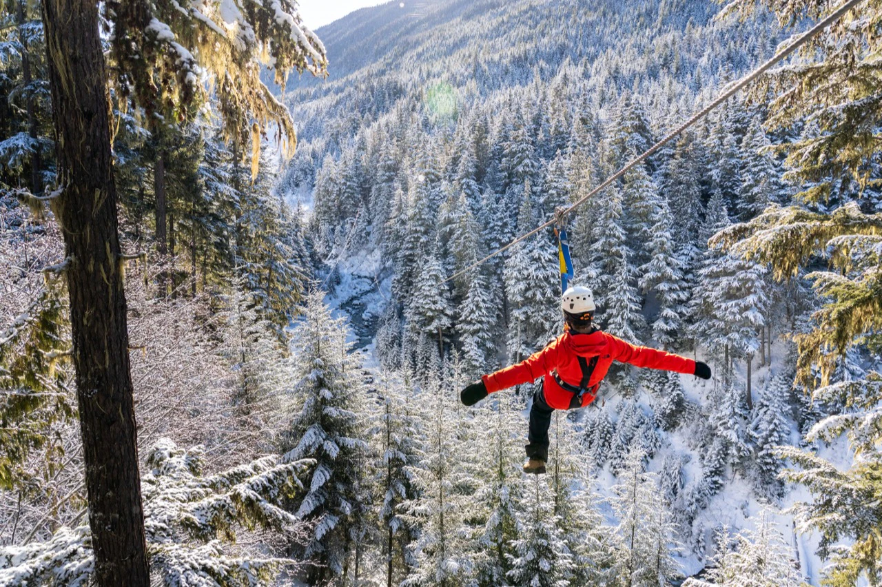 Whistler Ziptrek Ecotours: Zipline Adventure