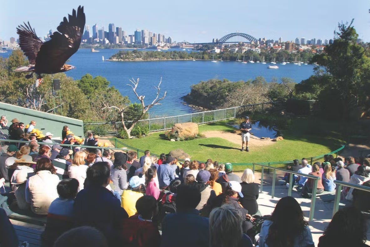 Taronga Zoo + Return Ferry Tickets | Tiqets