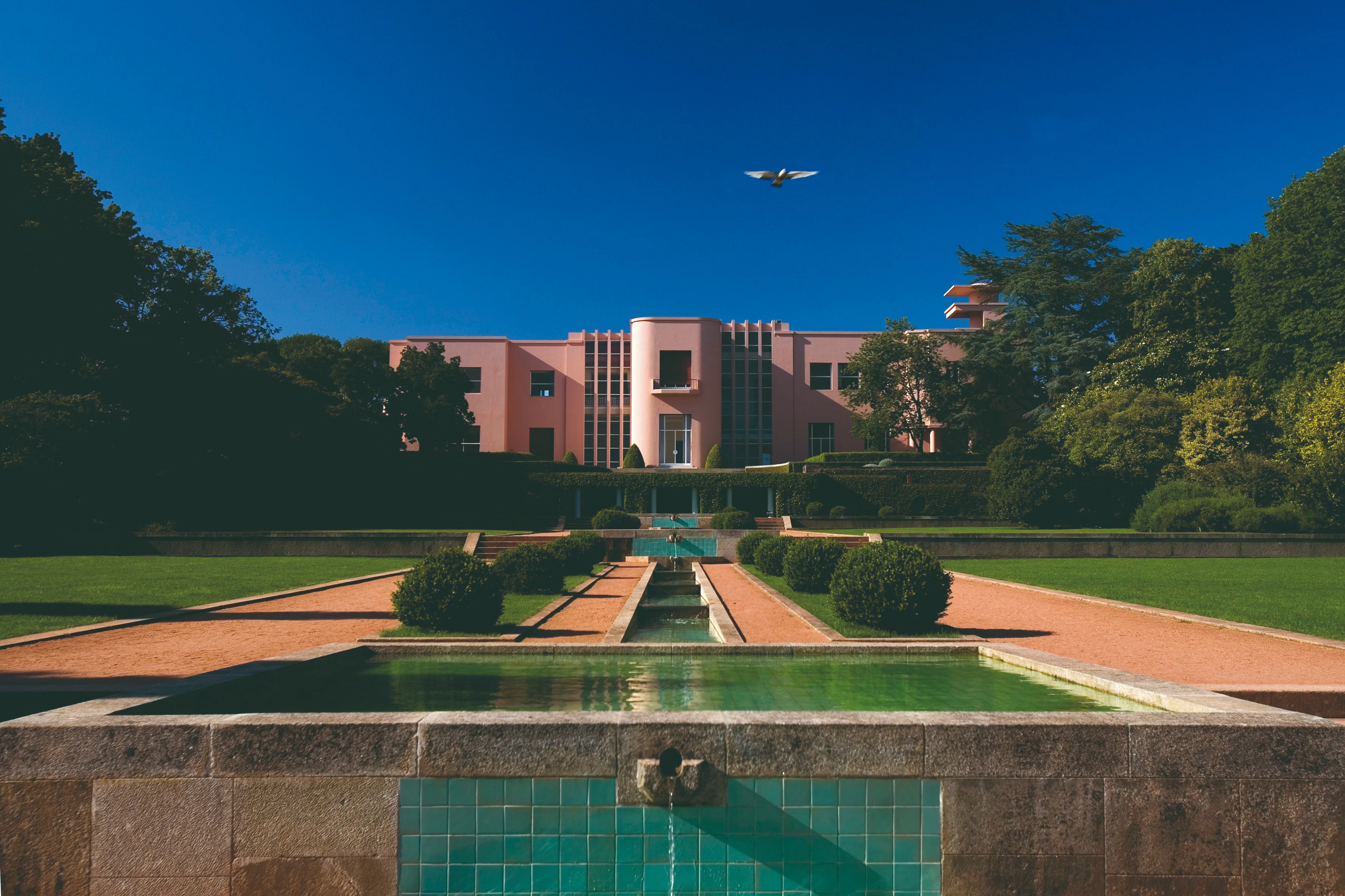 Serralves Foundation: All-Access Entry Ticket