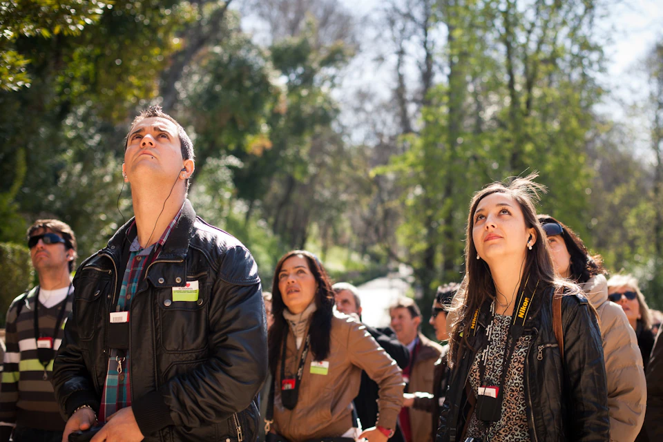 A group of people outdoors, wearing audio tour devices, looking upwards, surrounded by trees and sunlight.