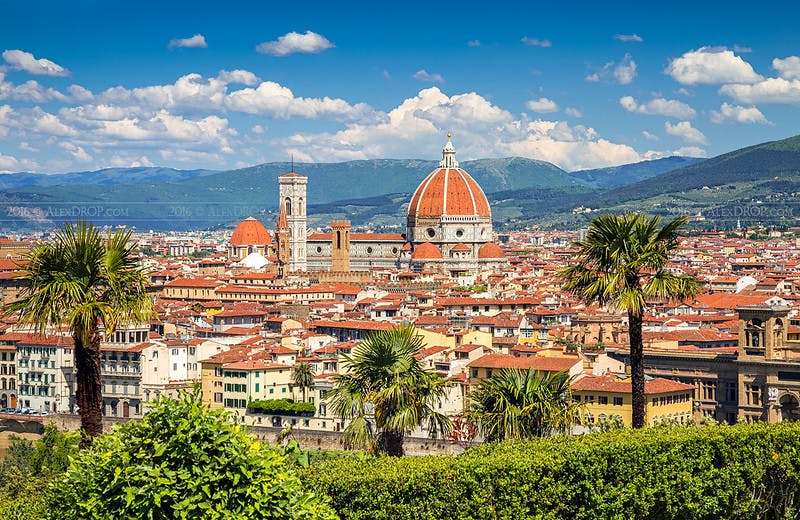 Florencia Palazzo