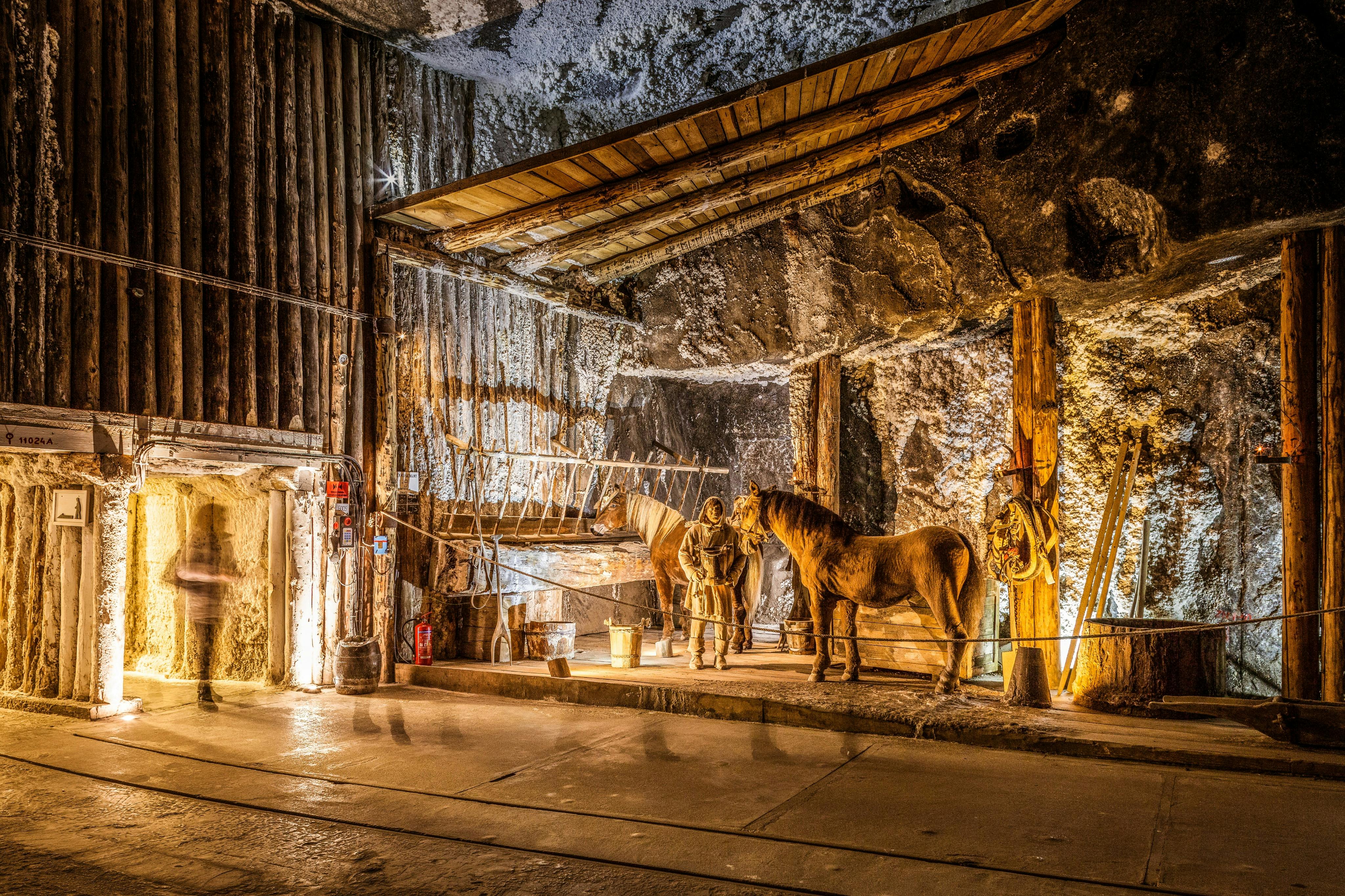Wieliczka Salt Mine: Entry Ticket, Guided Tour + Direct Transfer