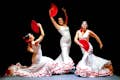 Dansgezelschap. Flamenco Show.