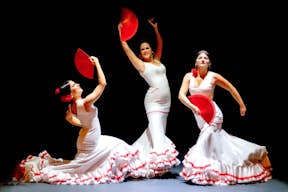 Dansgezelschap. Flamenco Show.