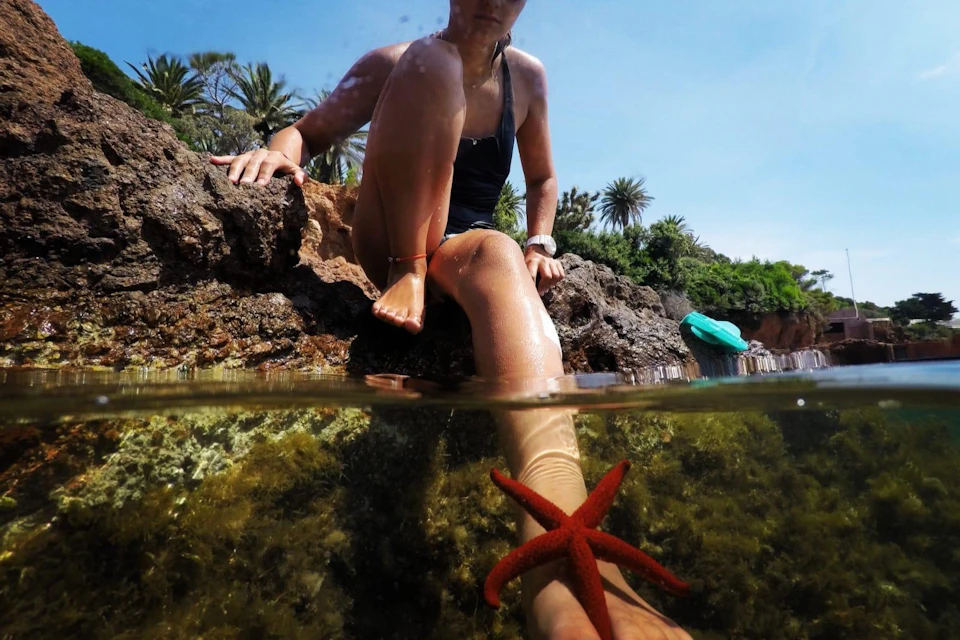 A person sitting on rocks near water, with a red starfish on their leg, in a tropical setting with palm trees.