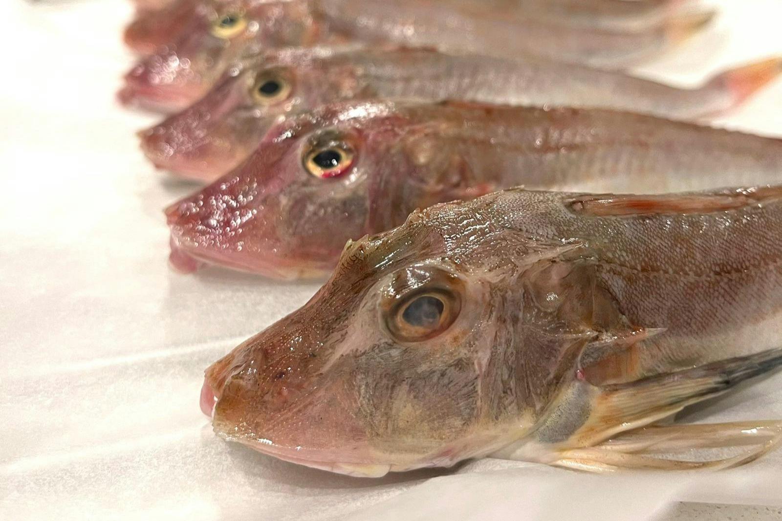 Emilia-Romagna: Corso di cucina di pesce + pranzo o cena + bevande — 4