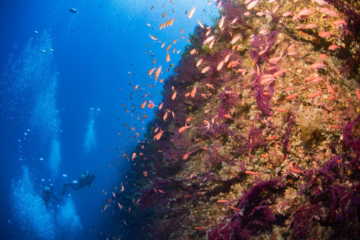 Slider Image