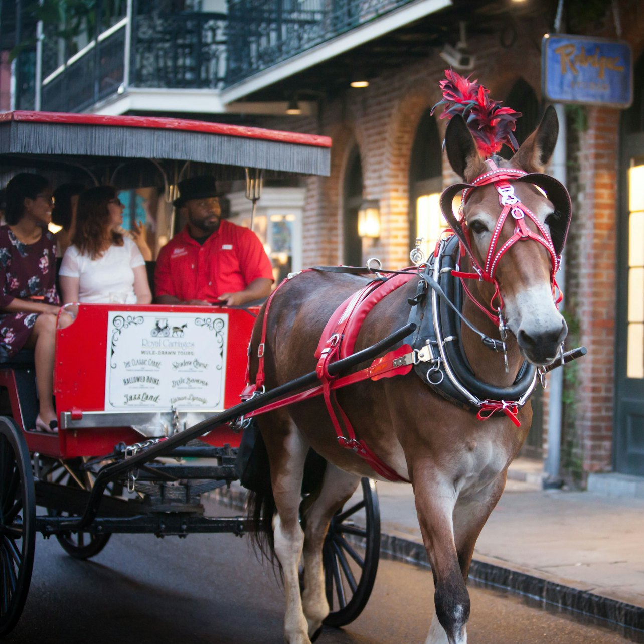 Tour fantasmal del Barrio Francés en carruaje - Alojamientos en Nueva Orleans