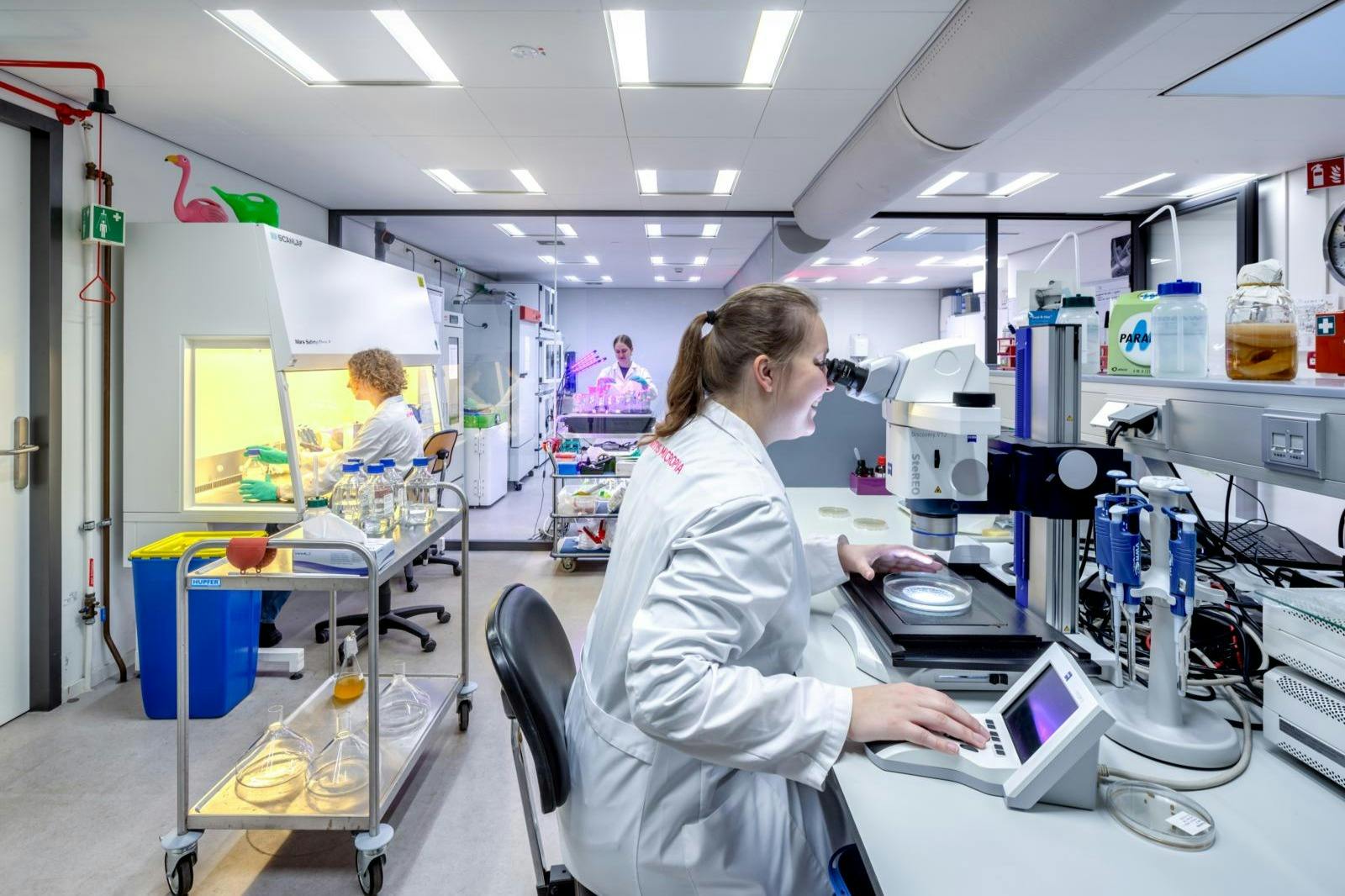 Μια εργαστηριακή σκηνή με επιστήμονες που εργάζονται. Ο ένας χρησιμοποιεί μικροσκόπιο και άλλοι χειρίζονται εξοπλισμό στο παρασκήνιο.