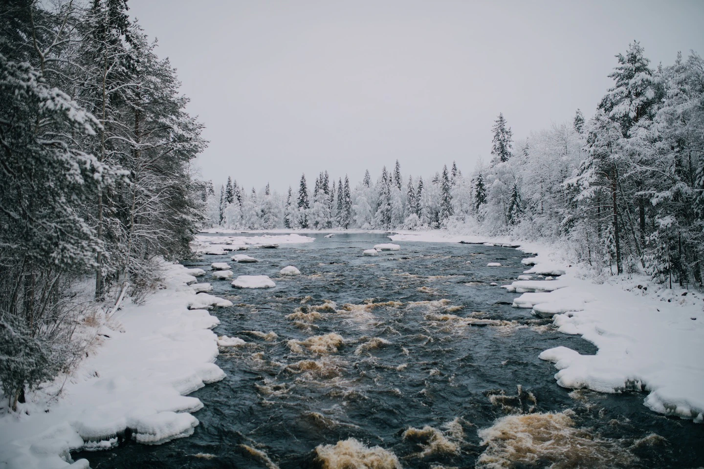 Vikakongas Nature