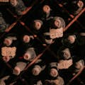 Historical wines in the cellar