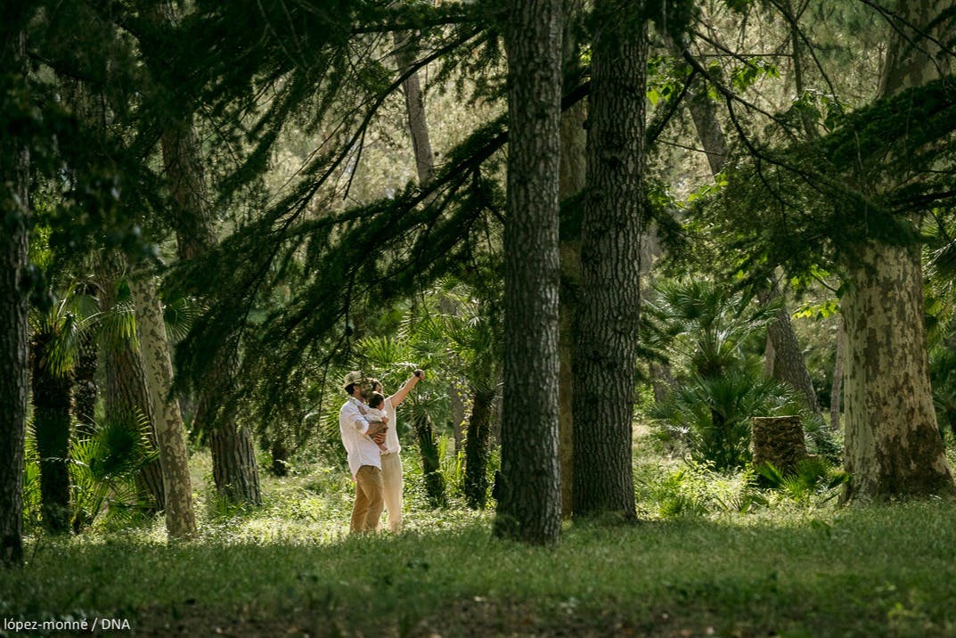 ロマンチックな森。サマ公園。カンブリル