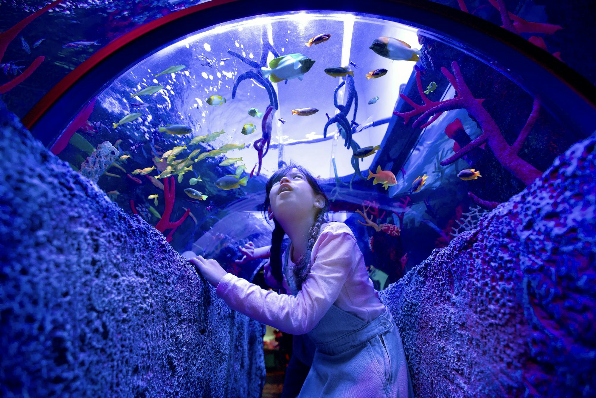 Un bambino con i capelli intrecciati guarda i pesci colorati che nuotano in alto in un acquario a tunnel, circondato da pareti rocciose e coralli.