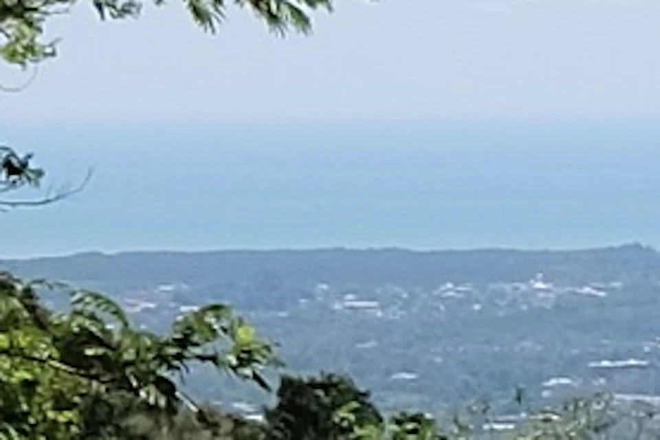 View Point