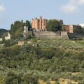 布罗利奥城堡(Castello di Brolio)