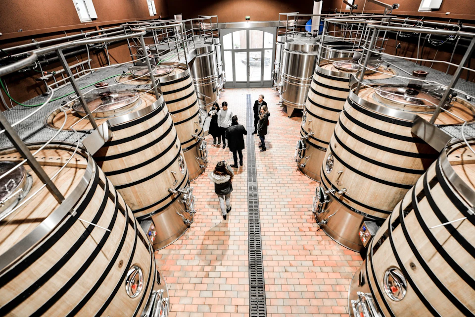 Cellar tour