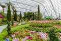 Сады у залива: цветочный купол и облачный лес