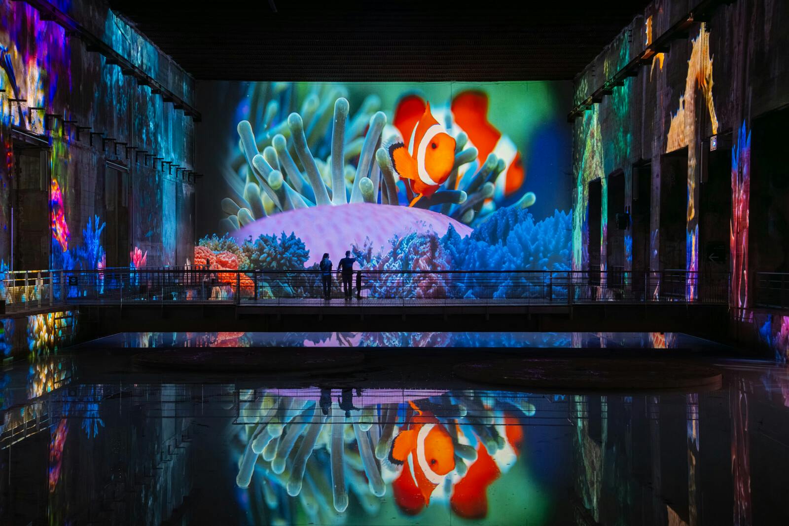 Bacias hidrográficas de Lumières: Exposição sobre o Oceano - Photo 4