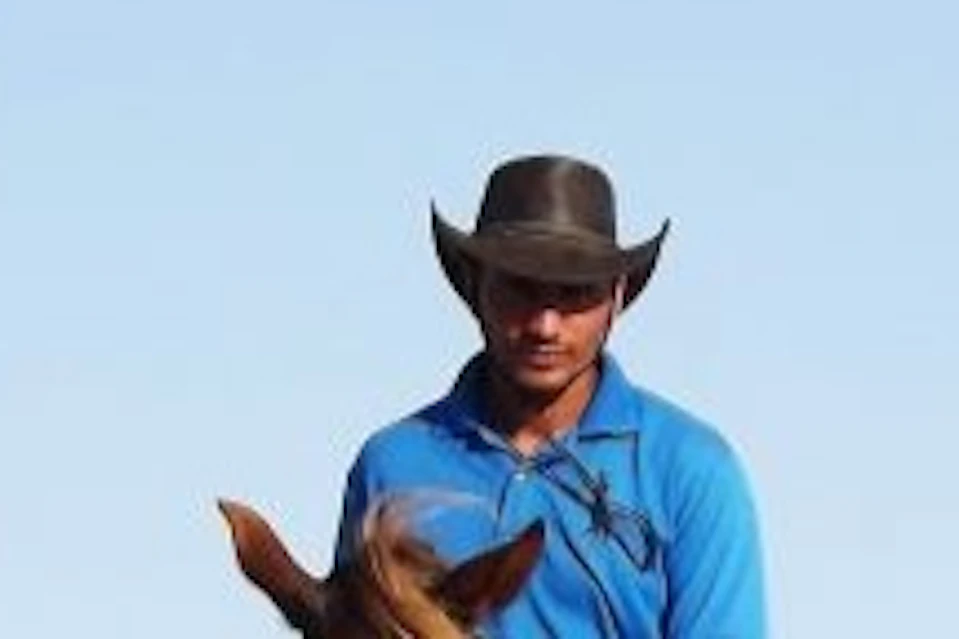 Exciting horse riding tour in Marsa Alam