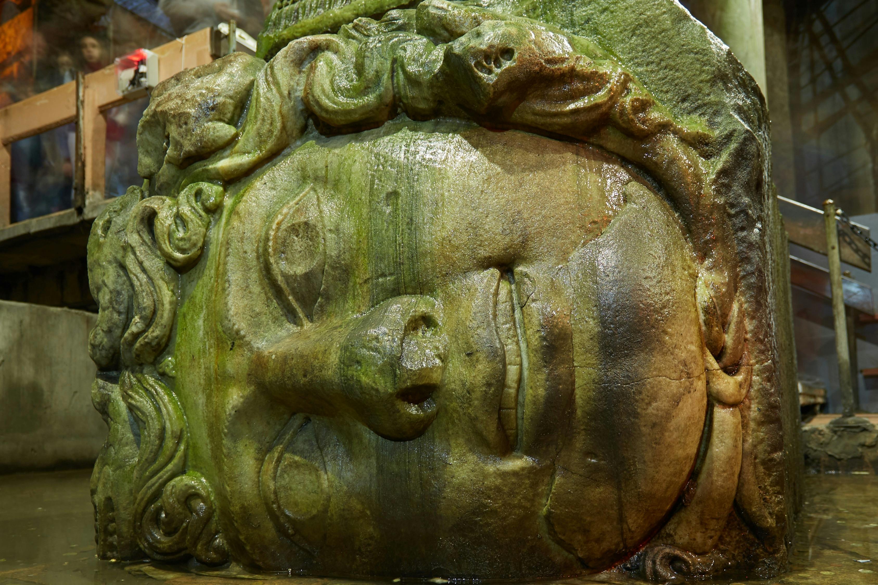 Medusa head