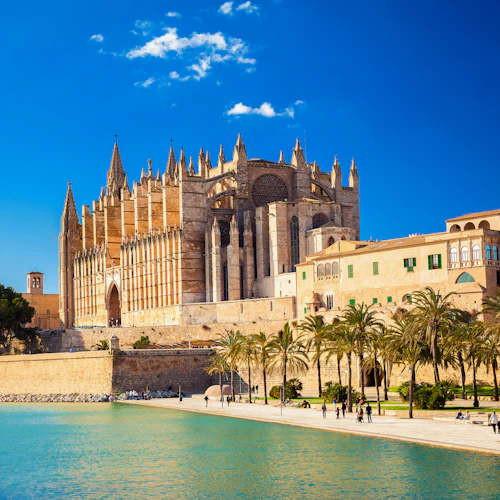 Gotische Kathedrale mit hohen Türmen und Blick auf eine mit Palmen gesäumte Uferpromenade unter strahlend blauem Himmel.