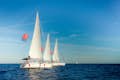 Relax and take in beautiful views during the sailing experience