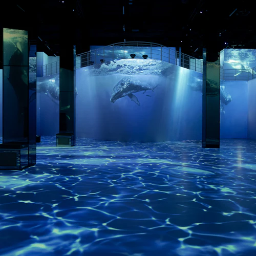 Port des Lumières: Ocean Wonders - Uma entrada de mergulho imersiva - Photo 6