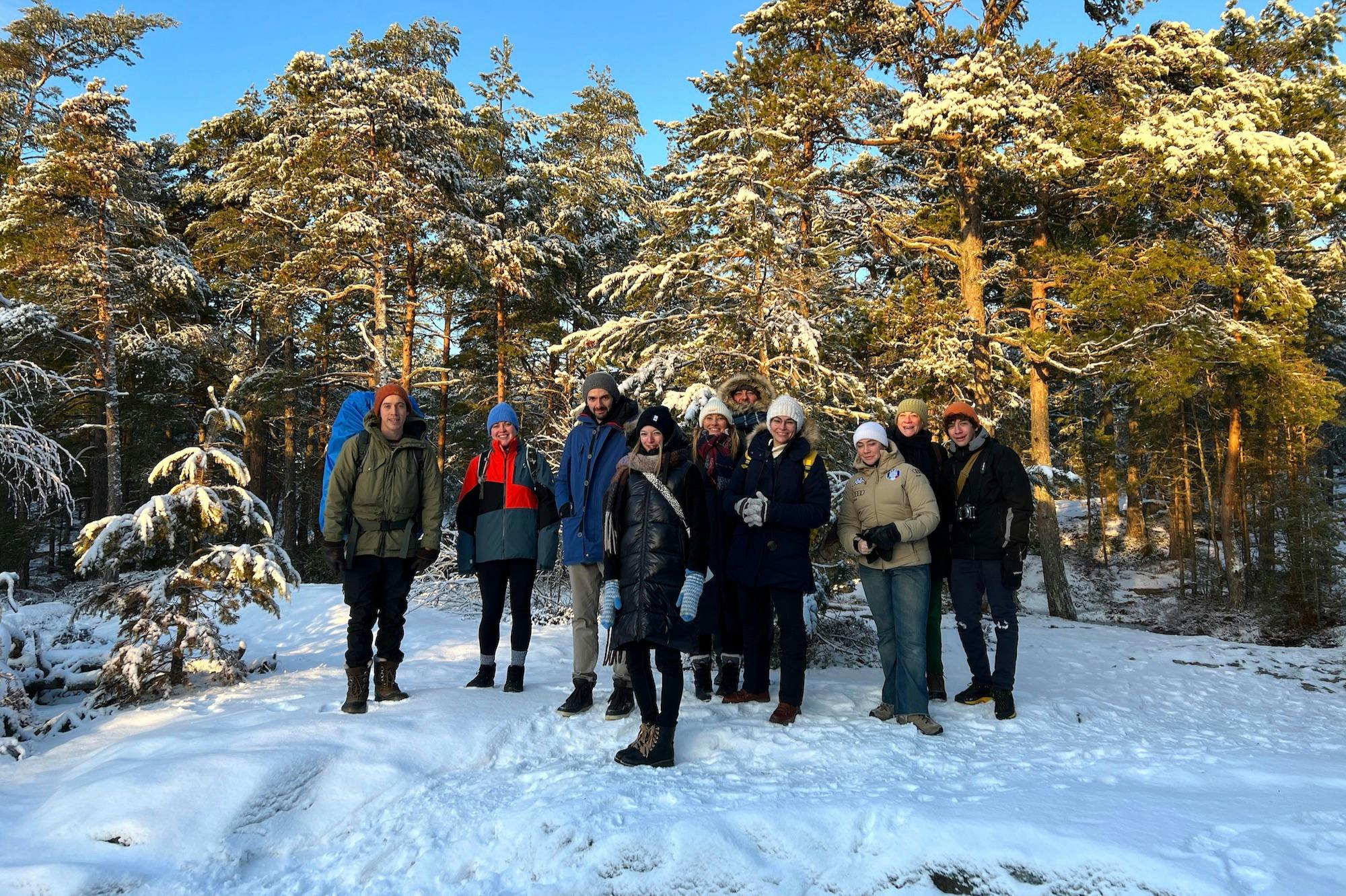 自然保護区で晴れた冬の日