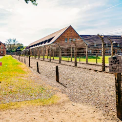 Auschwitz-Birkenau: Guided Tour + Transfers 5