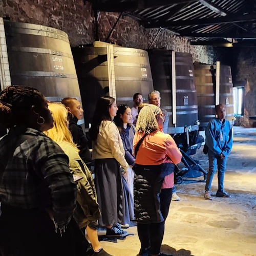 Porto: Guided Wine Tour + Tastings - Photo 3