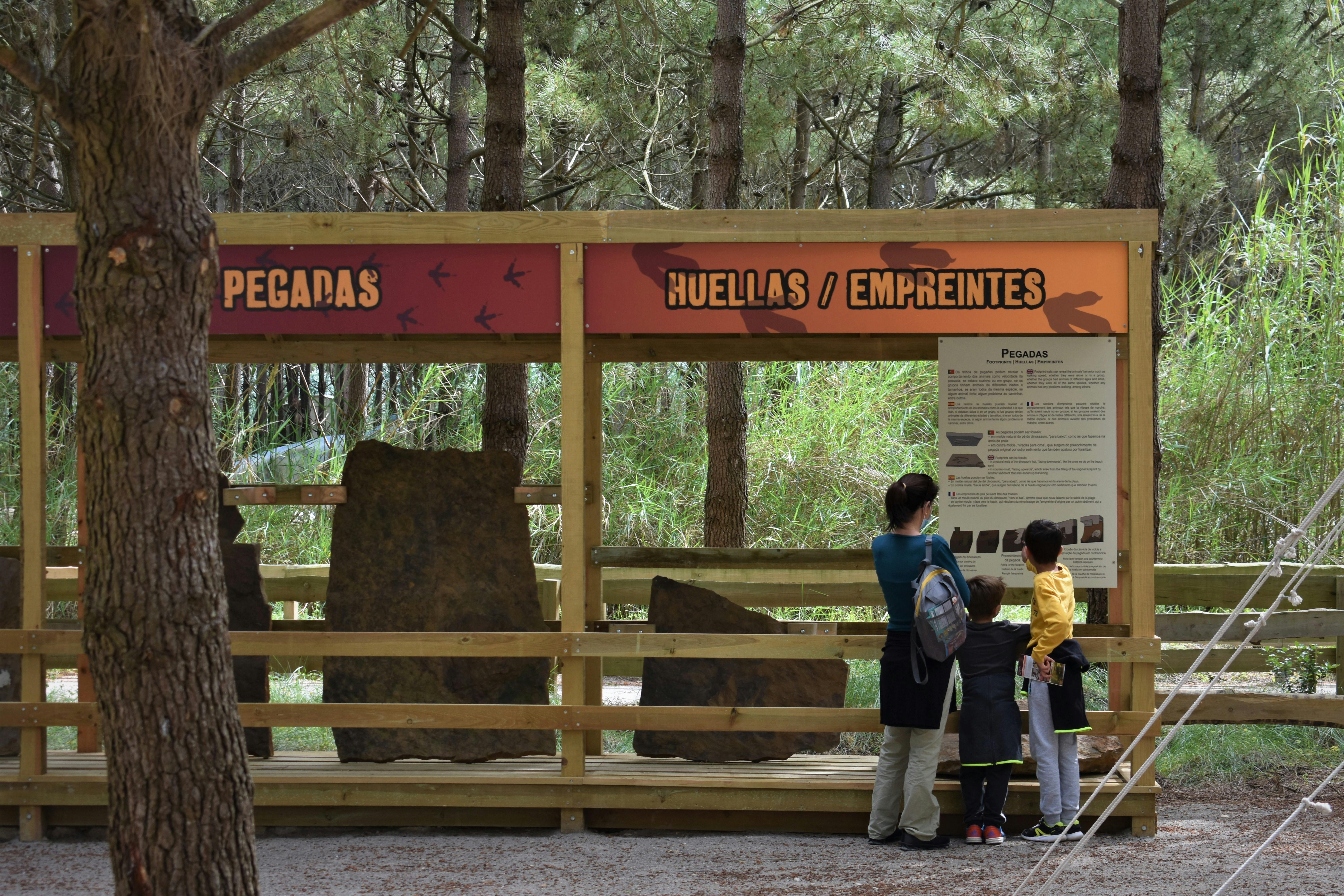 Des personnes lisent des panneaux d'information sur les empreintes préhistoriques dans une exposition forestière en plein air.