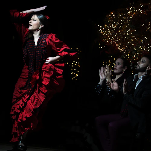 Madri: Show de Flamenco em Tablao Torres Bermejas - Photo 3