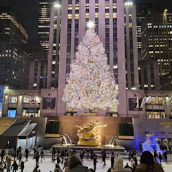 Christmas Tree & Ice Skating Rink at Rockefeller Center