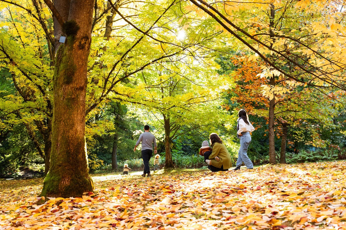 VanDusen Botaniske Haver