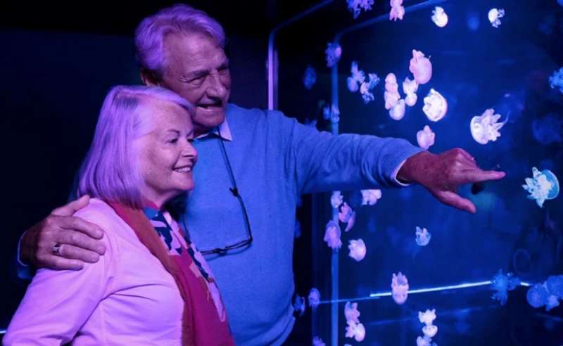 Older couple with an arm around each other, smiling at jellyfish in a dimly lit aquarium.