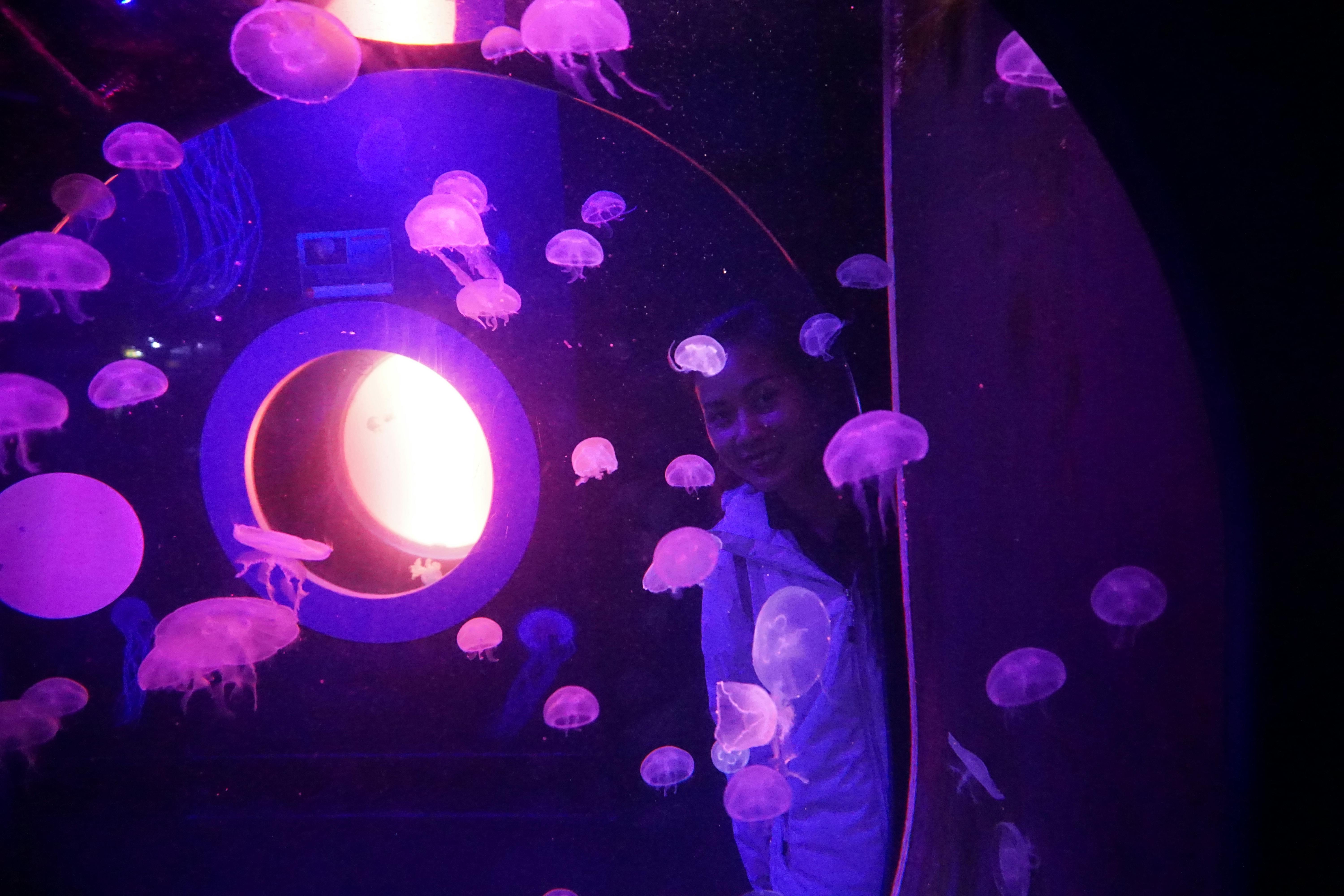 Osoba w białej kurtce stoi w słabo oświetlonym akwarium z świecącą meduzą i okrągłym podświetlanym oknem.