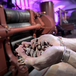 Cocoa beans